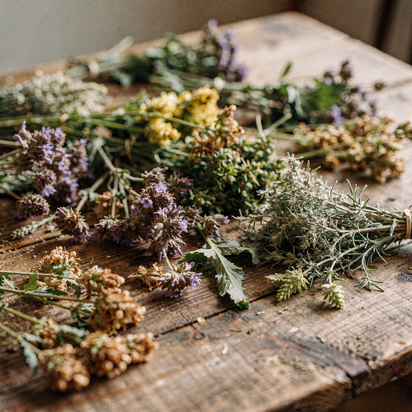 Boží dar - včelár