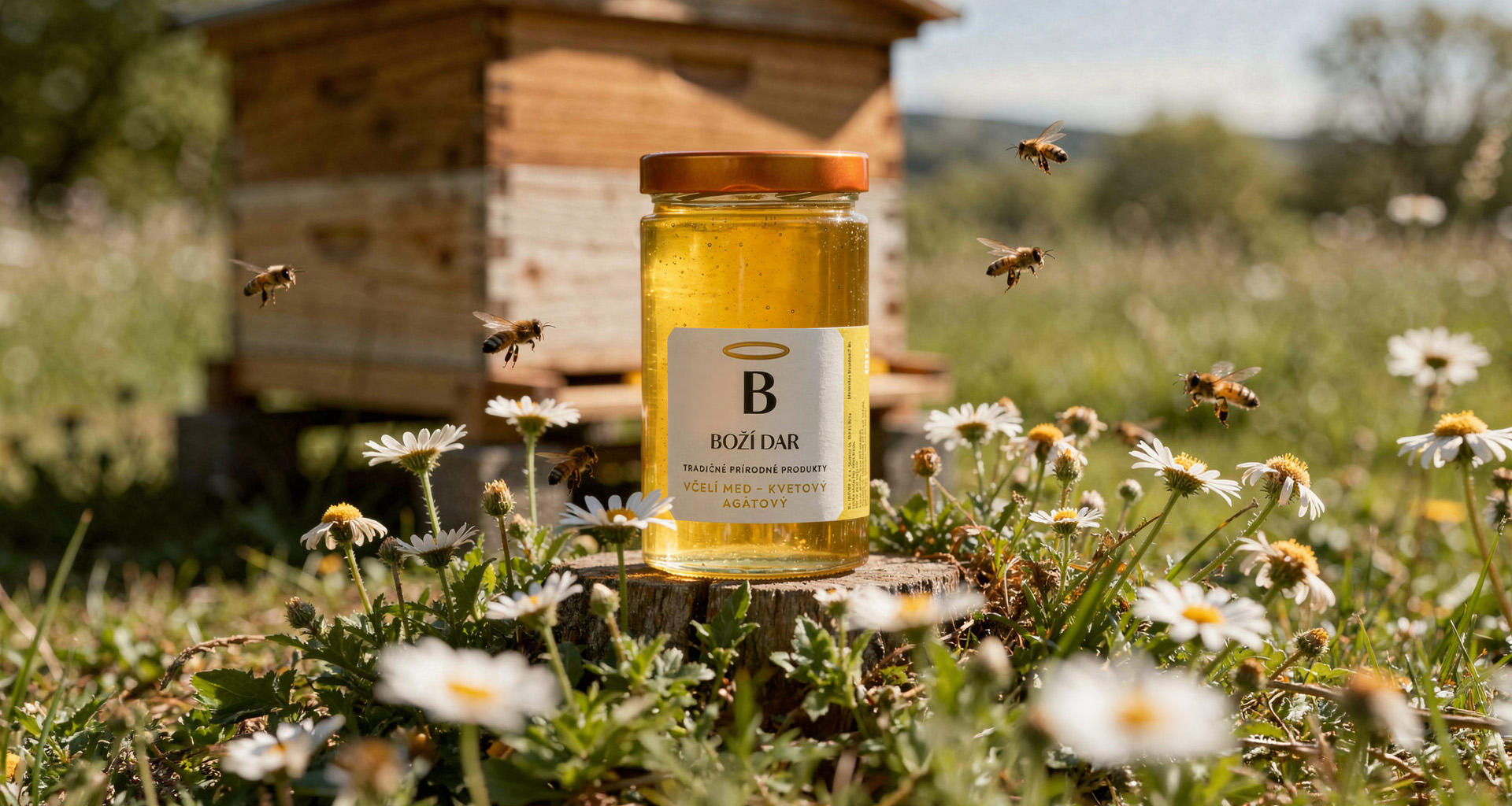 Boží dar - hero image