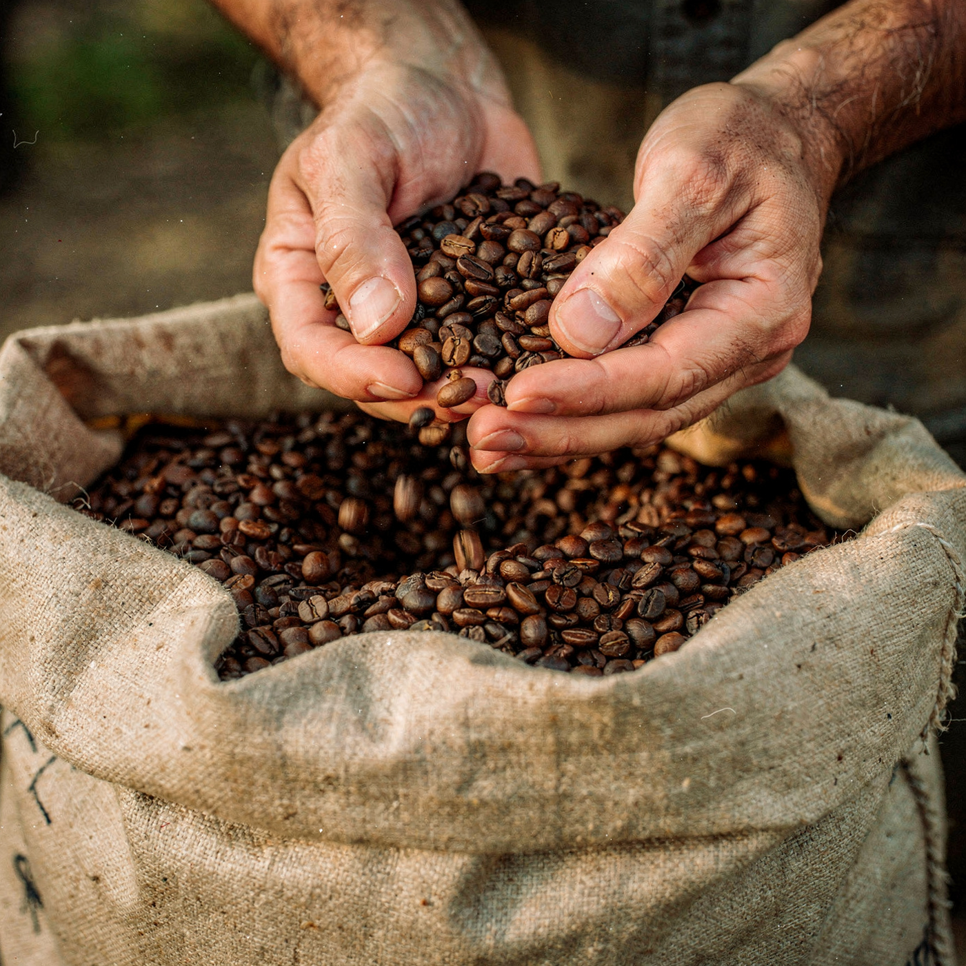 Boží dar - kávové zrná