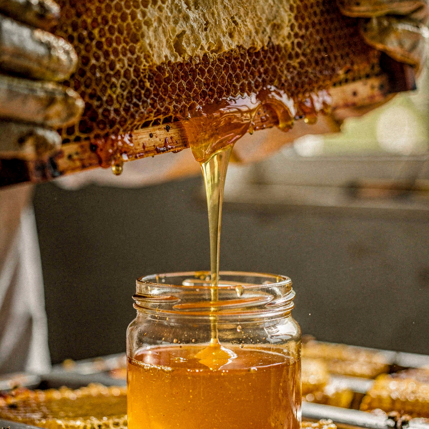 Boží dar - šetrné spracovanie